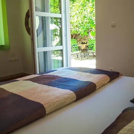 Lemon Tree Apartment