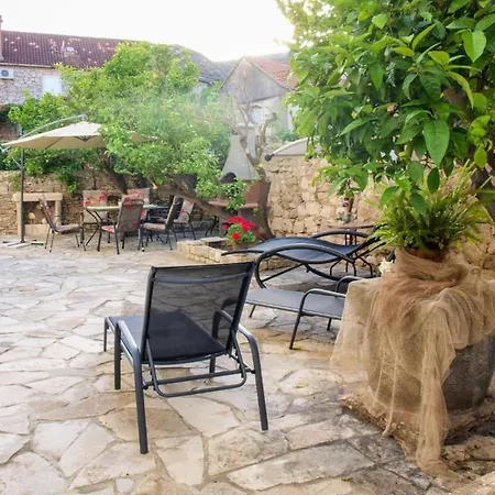 Lemon Tree Appartement